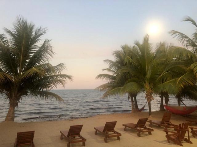 The White Horse Inn - Hopkins Village Beach Belize Exterior photo